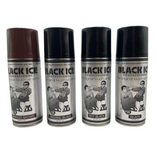 Black Ice The Original Touch Up Spray 4oz
